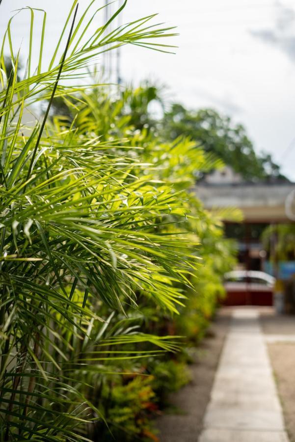 ホテル Casa Sabina バカラル エクステリア 写真