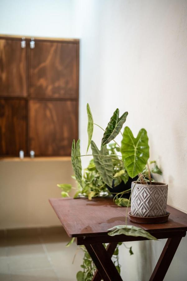 ホテル Casa Sabina バカラル エクステリア 写真